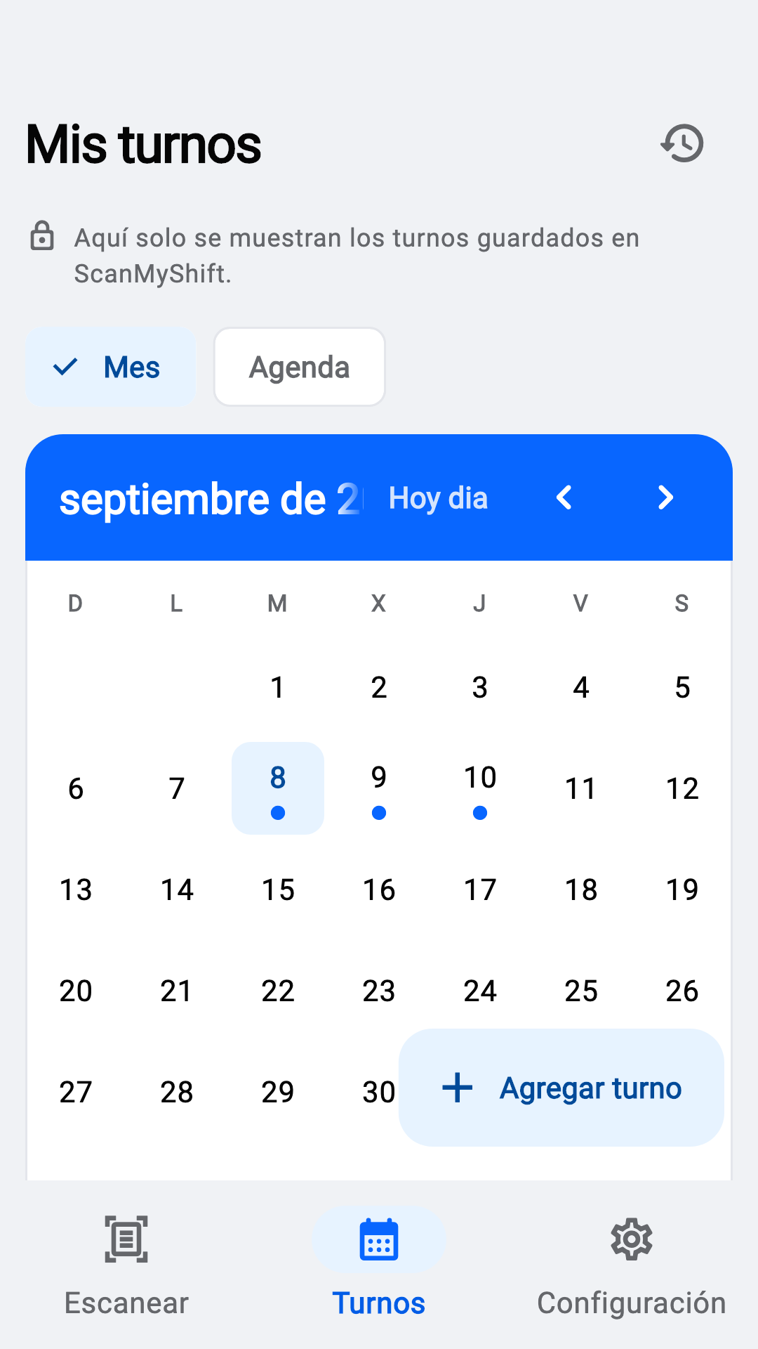 Ver los turnos del mes